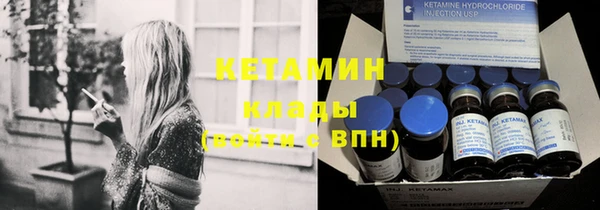 сатива Аркадак