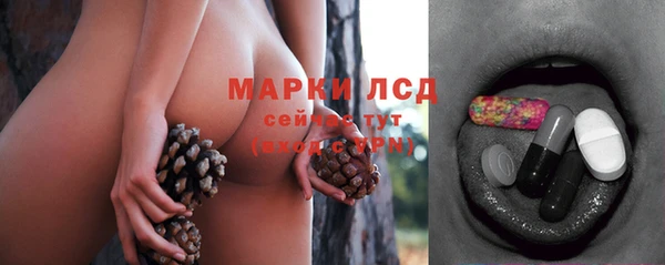 сатива Аркадак