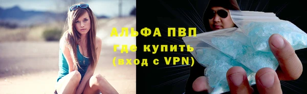 сатива Аркадак