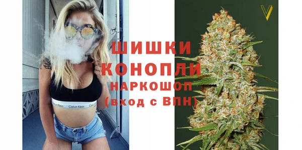 сатива Аркадак