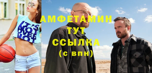 сатива Аркадак