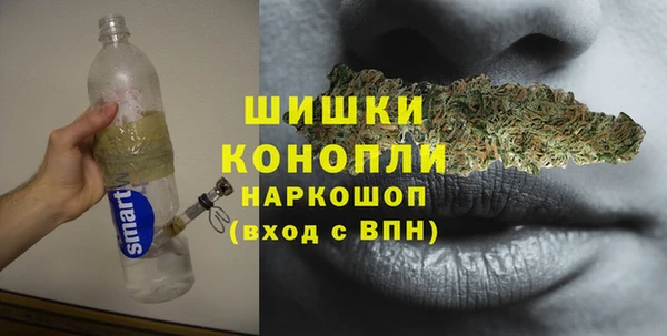 сатива Аркадак