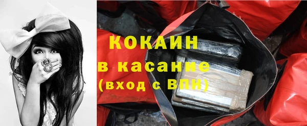 сатива Аркадак