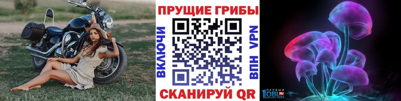 Псилоцибиновые грибы Magic Shrooms  Тында 